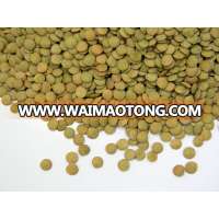 100% organic Green lentils Ukrainian origin