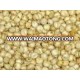 WHITE SORGHUM