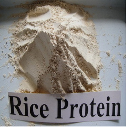 Bulk Supply of Whey Protein Powder